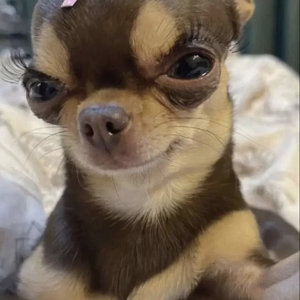 Fundraising Page: Georgia Robinson